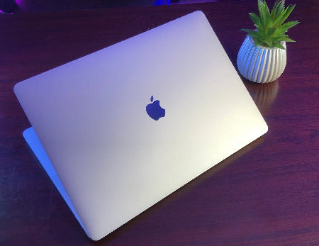 Apple laptop on a wooden surface with a small plant next to it