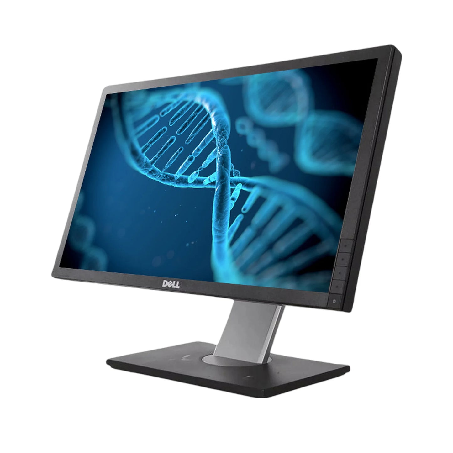 Dell P2412HB office monitor price Egypt Cairo adjustable stand professional desk setup